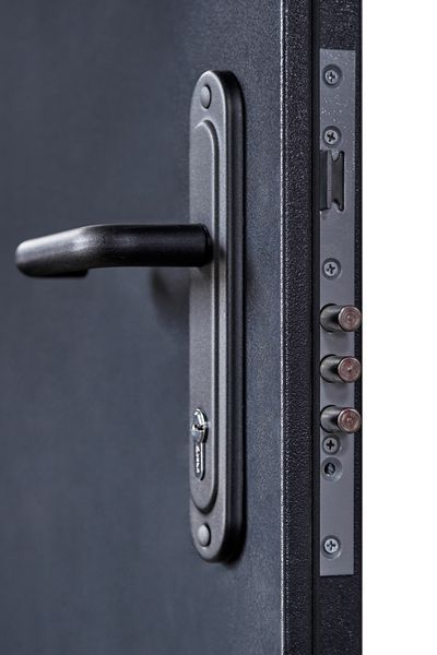 Купити Двері Технічні RAL 7024 02231 &mdash; Дім Дверей.