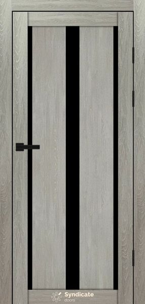 Купити Двері SD-127 00568 &mdash; Дім Дверей.