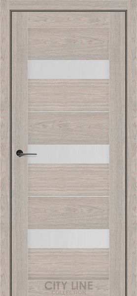 Купити Двері Arion 01764 &mdash; Дім Дверей.