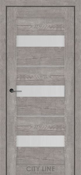 Купити Двері Arion 01764 &mdash; Дім Дверей.