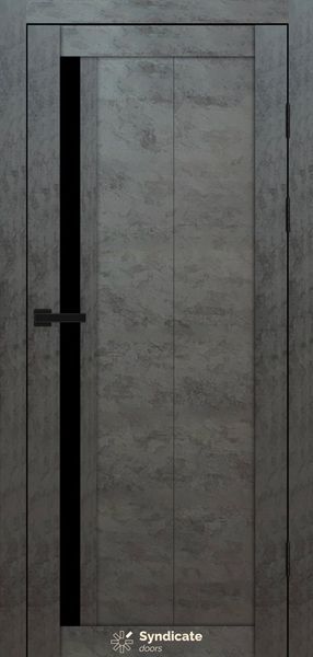Купити Двері SD-124 00523 &mdash; Дім Дверей.