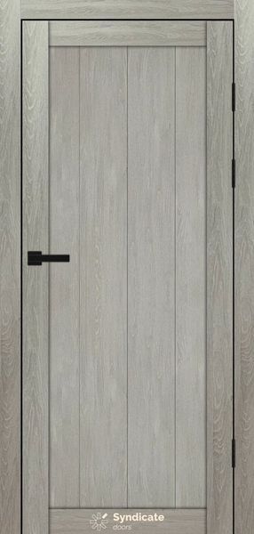 Купити Двері SD-115 00437 &mdash; Дім Дверей.