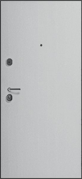 Купити Вхідні двері Rodos BASIC Street BAS-001 01081 &mdash; Дім Дверей.
