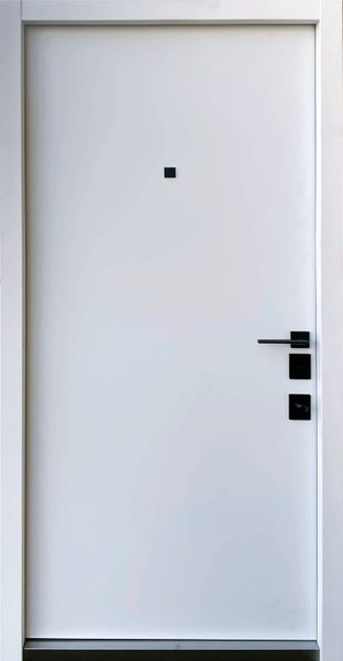 Купити Вхідні двері Straj Delica AL MONO (Квартира) 02441 &mdash; Дім Дверей.