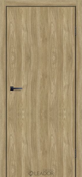 Купити Двері SLD-01 01241 &mdash; Дім Дверей.